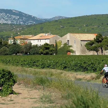 L'esprit Garrigue